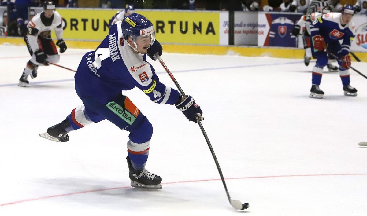 Hokejová reprezentácia